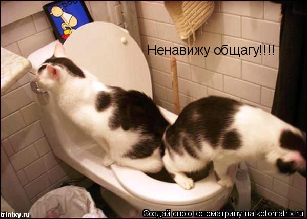 Ненавижу общагу!!!!... Котоматрица: Ненавижу общагу!!!!
