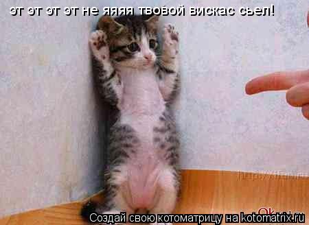 эт эт эт эт не яяяя твовой вискас сьел!... Котоматрица: эт эт эт эт не яяяя твовой вискас сьел!