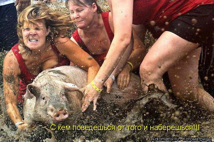 Котоматрица: С кем поведешься,от того и наберешься!!!