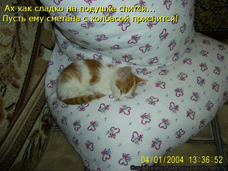 Ах как сладко на подушке спится... Пусть ему сметана с колбасой приснится!... Котоматрица: Ах как сладко на подушке спится... Пусть ему сметана с колбасой приснится!