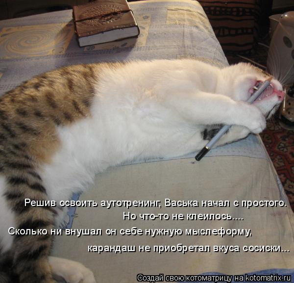 Котоматрица: Решив освоить аутотренинг, Васька начал с простого. Но что-то не клеилось.... Сколько ни внушал он себе нужную мыслеформу, карандаш не приобр