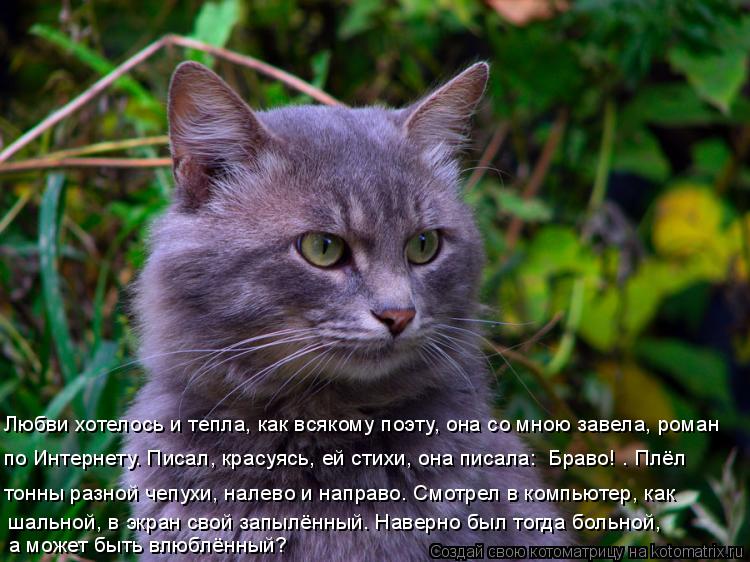 Любви хотелось и тепла, как всякому поэту, она со мною завела, роман по Интернету. Писал, красуясь, ... Котоматрица: Любви хотелось и тепла, как всякому поэту, она со мною завела, роман по Интернету. Писал, красуясь, ей стихи, она писала: «Браво!». Плёл тонны