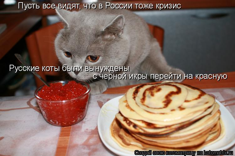 Котоматрица: Пусть все видят, что в России тоже кризис Русские коты были вынуждены  с черной икры перейти на красную