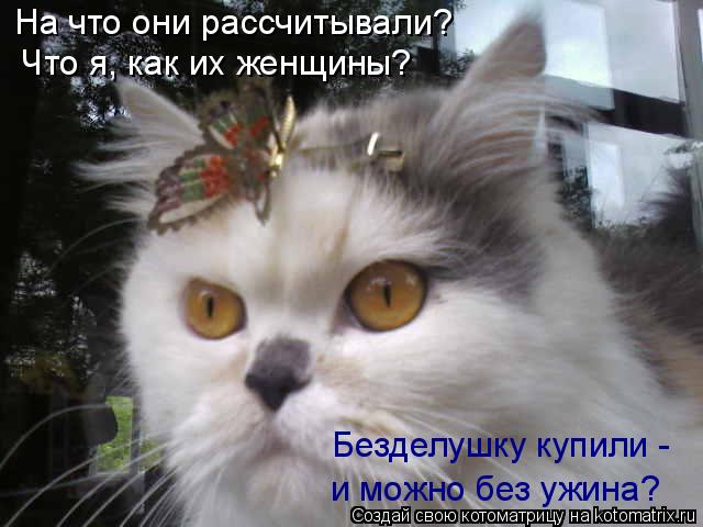 Котоматрица: Безделушку купили - и можно без ужина? На что они рассчитывали?  Что я, как их женщины?