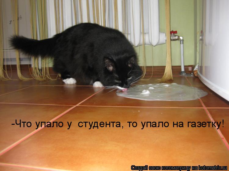 Котоматрица: -Что упало у  студента, то упало на газетку!
