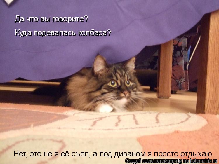 Да что вы говорите? Куда подевалась колбаса? Нет, это не я её съел, а под диваном я просто отдыхаю... Котоматрица: Да что вы говорите? Куда подевалась колбаса? Нет, это не я её съел, а под диваном я просто отдыхаю