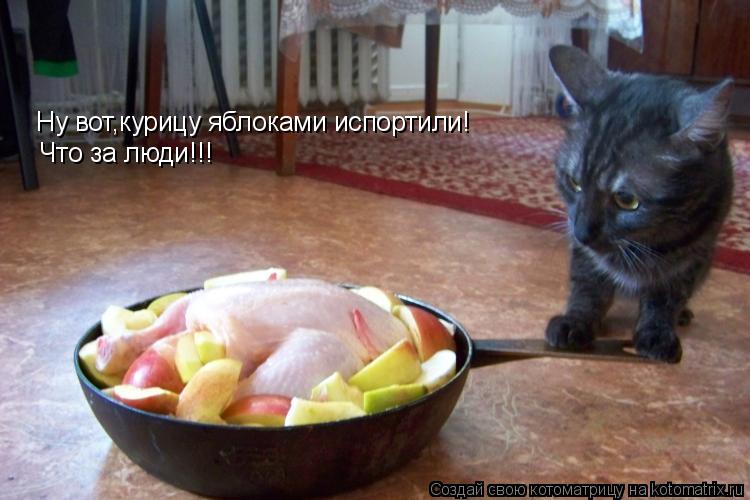 Котоматрица: Ну вот,курицу яблоками испортили! Что за люди!!!