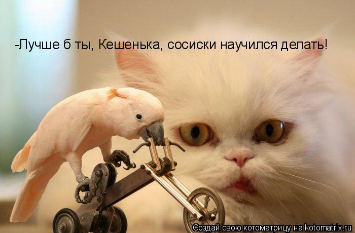 Котоматрица: -Лучше б ты, Кешенька, сосиски научился делать!