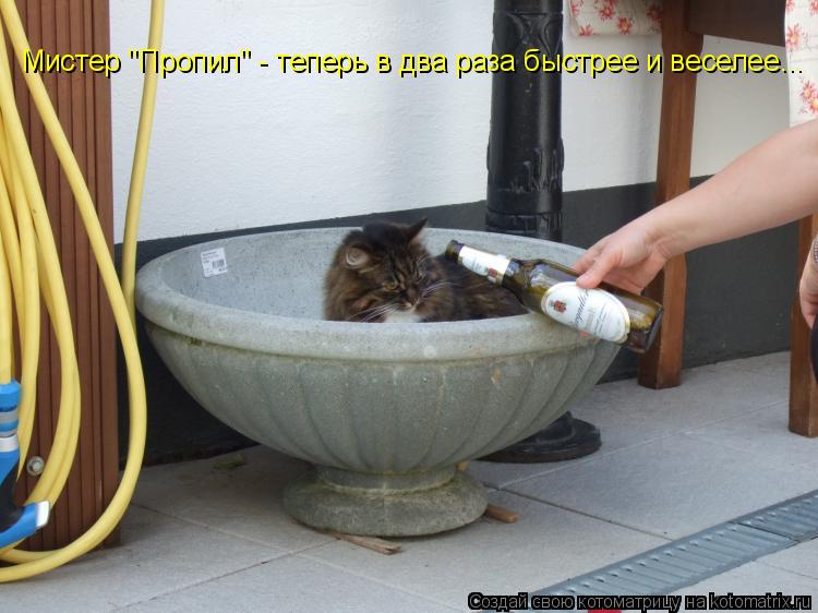 Мистер "Пропил" - теперь в два раза быстрее и веселее...... Котоматрица: Мистер "Пропил" - теперь в два раза быстрее и веселее...