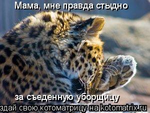 Мама, мне правда стыдно за съеденную уборщицу... Котоматрица: Мама, мне правда стыдно за съеденную уборщицу
