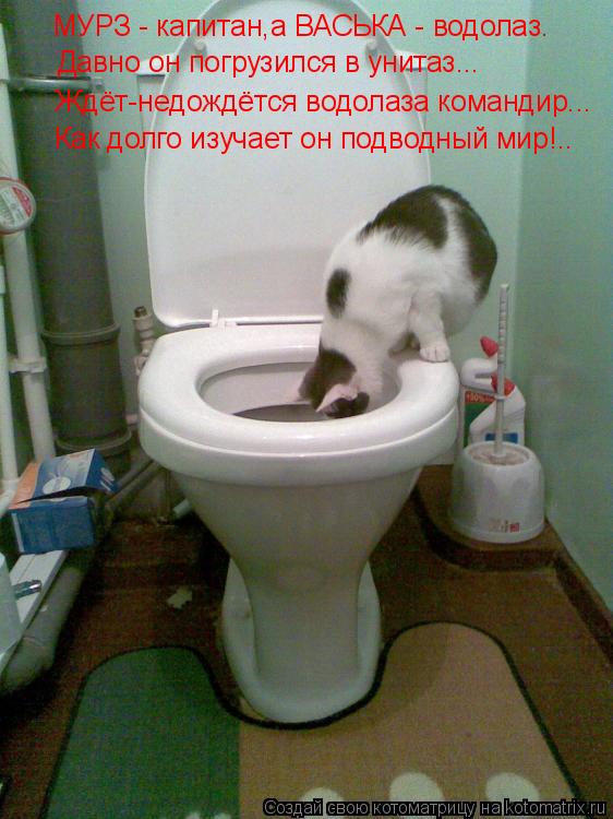 Котоматрица: МУРЗ - капитан,а ВАСЬКА - водолаз. Давно он погрузился в унитаз... Ждёт-недождётся водолаза командир... Как долго изучает он подводный мир!..