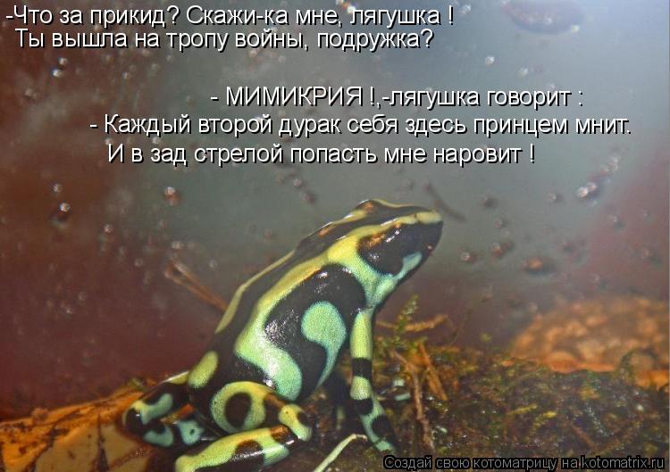 -Что за прикид? Скажи-ка мне, лягушка ! Ты вышла на тропу войны, подружка? И в зад стрелой попасть мн... Котоматрица: -Что за прикид? Скажи-ка мне, лягушка ! Ты вышла на тропу войны, подружка? И в зад стрелой попасть мне наровит ! - МИМИКРИЯ !,-лягушка говорит : -