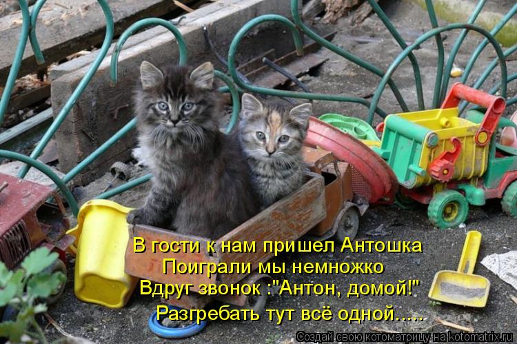 Котоматрица: В гости к нам пришел Антошка Поиграли мы немножко Вдруг звонок :"Антон, домой!" Разгребать тут всё одной.....