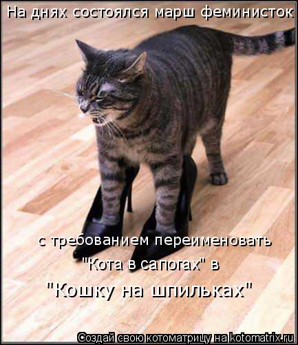 На днях состоялся марш феминисток с требованием переименовать "Кошку на шпильках" "Кота в сапогах" в... Котоматрица: На днях состоялся марш феминисток с требованием переименовать "Кошку на шпильках" "Кота в сапогах" в