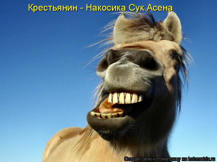 Котоматрица: Крестьянин - Накосика Сук Асена