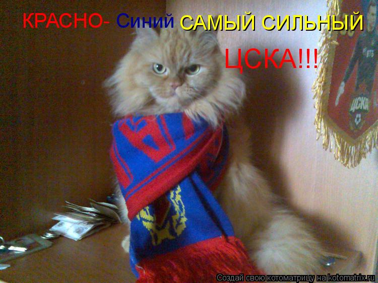 КРАСНО- Синий САМЫЙ СИЛЬНЫЙ ЦСКА!!!... Котоматрица: КРАСНО- Синий САМЫЙ СИЛЬНЫЙ ЦСКА!!!