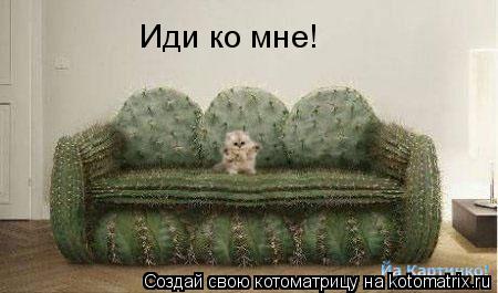 Иди ко мне!... Котоматрица: Иди ко мне!