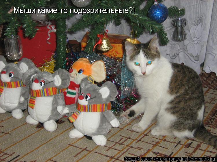 Котоматрица: Мыши какие-то подозрительные?!