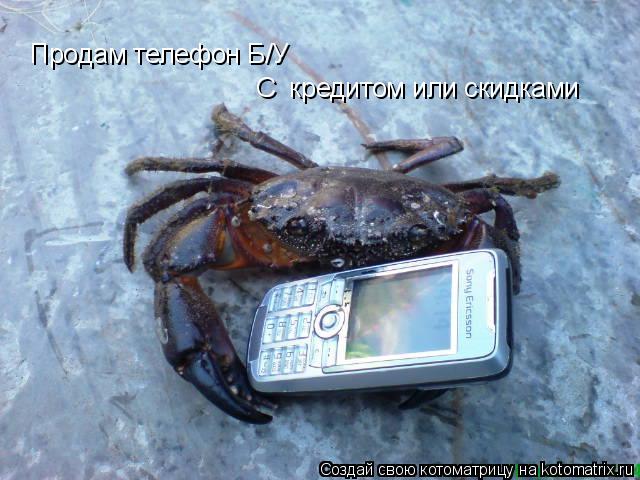 Продам телефон Б/У С кредитом или скидками... Котоматрица: Продам телефон Б/У С кредитом или скидками