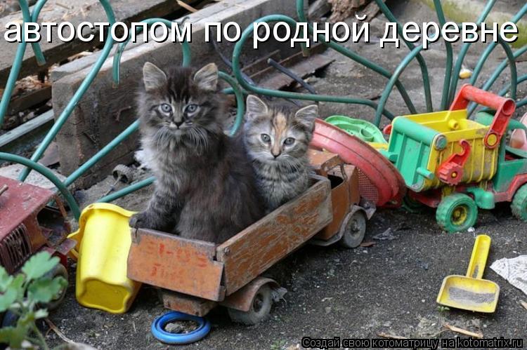 Котоматрица: автостопом по родной деревне