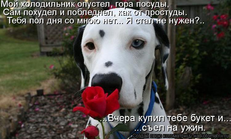 Мой холодильник опустел, гора посуды, Сам похудел и побледнел, как от простуды. Тебя пол дня со мною ... Котоматрица: Мой холодильник опустел, гора посуды, Сам похудел и побледнел, как от простуды. Тебя пол дня со мною нет... Я стал не нужен?.. ...Вчера купил тебе