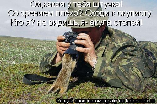 Котоматрица: Ой,какая у тебя штучка! Со зрением плёхо? Сходи к окулисту. Кто я? не видишь,я- акула степей!