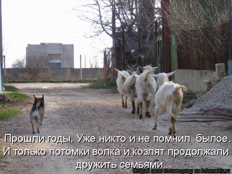 Прошли годы. Уже никто и не помнил былое. И только потомки волка и козлят продолжали дружить семьями... Котоматрица: Прошли годы. Уже никто и не помнил былое. И только потомки волка и козлят продолжали дружить семьями...