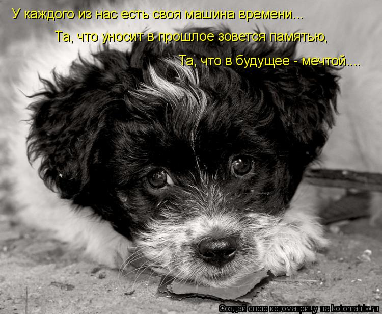Котоматрица: У каждого из нас есть своя машина времени...  Та, что уносит в прошлое зовется памятью,  Та, что в будущее - мечтой....