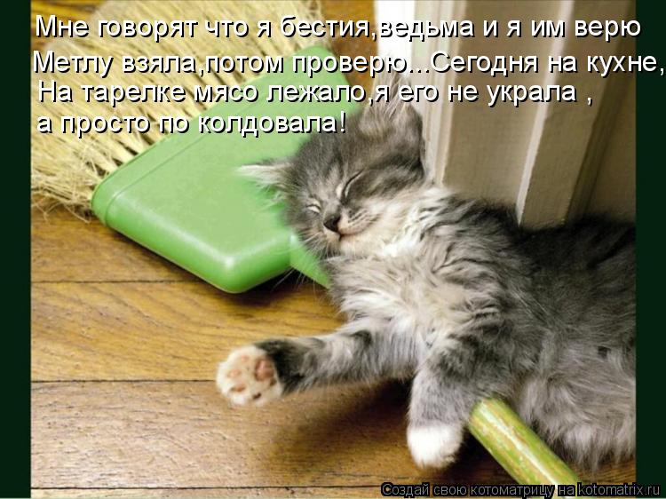 Котоматрица: Мне говорят что я бестия,ведьма и я им верю На тарелке мясо лежало,я его не украла , а просто по колдовала! Метлу взяла,потом проверю...Сегодня