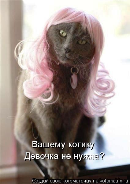 Котоматрица: Вашему котику  Девочка не нужна?