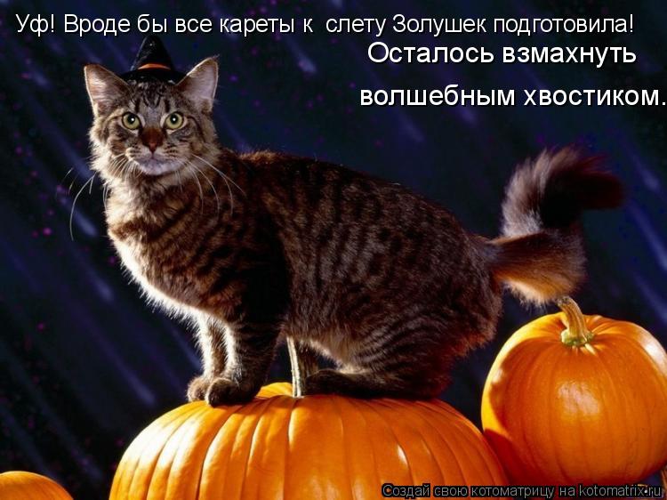 Котоматрица: Уф! Вроде бы все кареты к  слету Золушек подготовила! Осталось взмахнуть волшебным хвостиком.