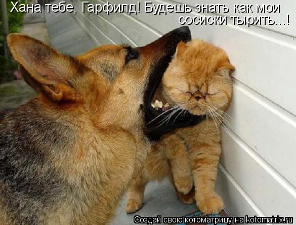 Котоматрица: Хана тебе, Гарфилд! Будешь знать как мои сосиски тырить...!