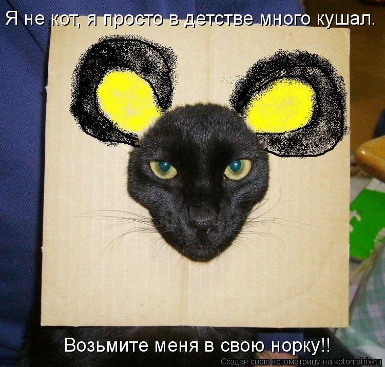 Я не кот, я просто в детстве много кушал. Возьмите меня в свою норку!!... Котоматрица: Я не кот, я просто в детстве много кушал. Возьмите меня в свою норку!!