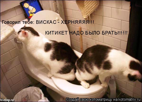 Говорил тебе: ВИСКАС - ХЕРНЯЯЯЯ!!! КИТИКЕТ НАДО БЫЛО БРАТЬ!!!!!!... Котоматрица: Говорил тебе: ВИСКАС - ХЕРНЯЯЯЯ!!! КИТИКЕТ НАДО БЫЛО БРАТЬ!!!!!!