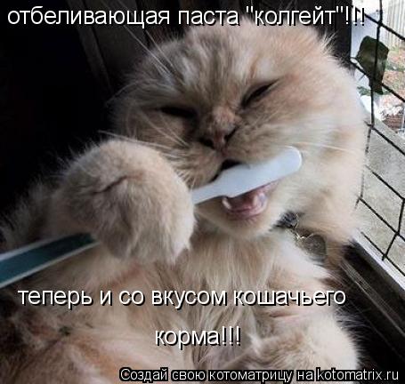 отбеливающая паста "колгейт"!!! теперь и со вкусом кошачьего корма!!!... Котоматрица: отбеливающая паста "колгейт"!!! теперь и со вкусом кошачьего корма!!!