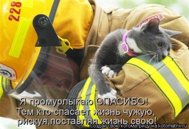 Я промурлыкаю СПАСИБО! Тем кто спасает жизнь чужую, рискуя,поставляя жизнь свою!... Котоматрица: Я промурлыкаю СПАСИБО! Тем кто спасает жизнь чужую, рискуя,поставляя жизнь свою!