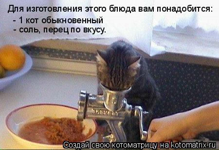 Котоматрица: Для изготовления этого блюда вам понадобится: - 1 кот обыкновенный - соль, перец по вкусу.