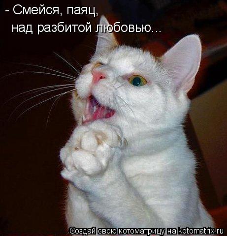 Котоматрица: - Смейся, паяц, над разбитой любовью...