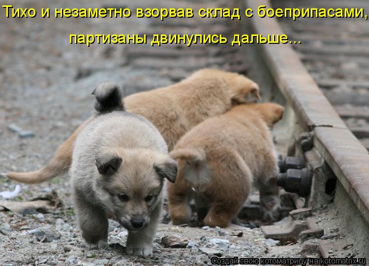 Котоматрица: Тихо и незаметно взорвав склад с боеприпасами,  партизаны двинулись дальше...