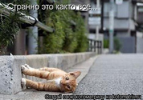 Странно это както всё...... Котоматрица: Странно это както всё...