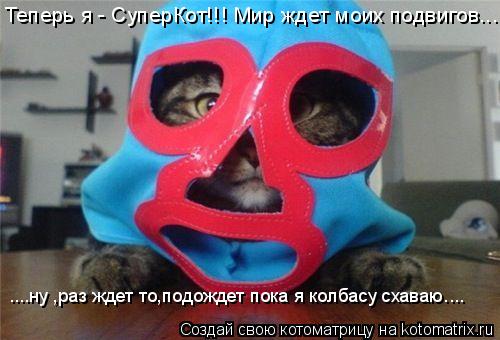 Котоматрица: Теперь я - СуперКот!!! Мир ждет моих подвигов... ....ну ,раз ждет то,подождет пока я колбасу схаваю....