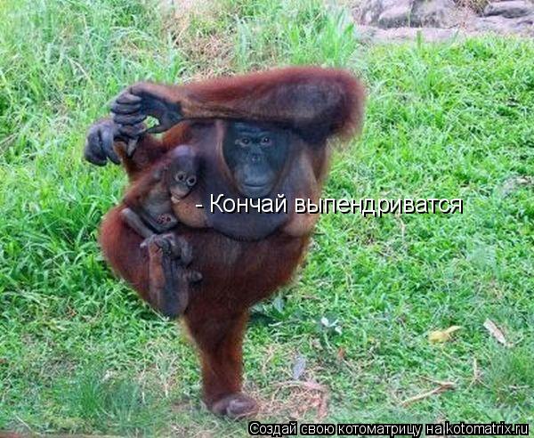 - Кончай выпендриватся... Котоматрица: - Кончай выпендриватся