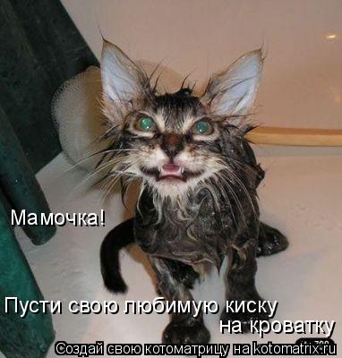 Пусти свою любимую киску на кроватку Мамочка!... Котоматрица: Пусти свою любимую киску на кроватку Мамочка!