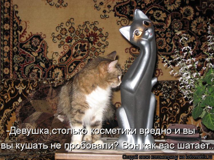 Котоматрица: -Девушка,столько косметики вредно и вы вы кушать не пробовали? Вон как вас шатает...