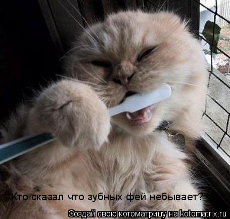 Кто сказал что зубных фей небывает?... Котоматрица: Кто сказал что зубных фей небывает?