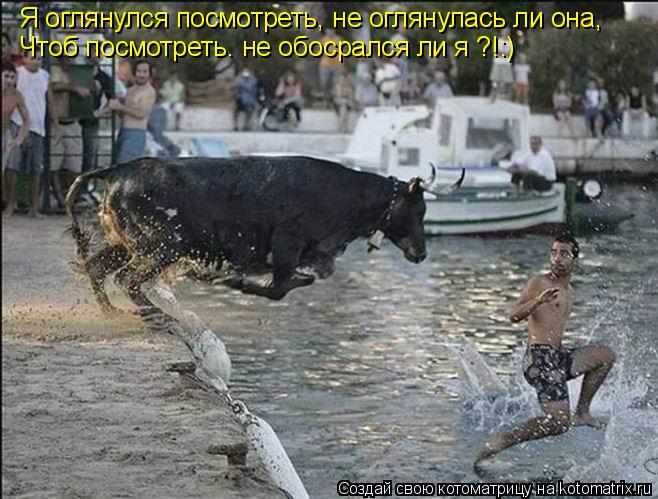 Котоматрица: Я оглянулся посмотреть, не оглянулась ли она, Чтоб посмотреть. не обосрался ли я ?!:)