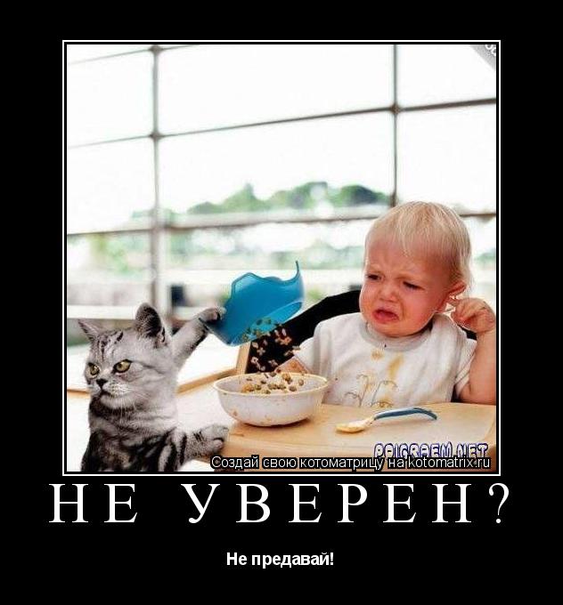Не уверен? Не предавай!... Котоматрица: Не уверен? Не предавай!