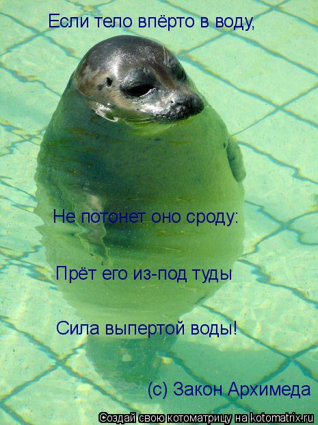 Котоматрица: Если тело впёрто в воду, Не потонет оно сроду: Прёт его из-под туды Сила выпертой воды! (с) Закон Архимеда