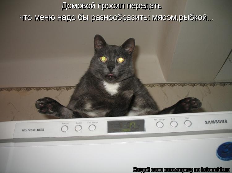 Домовой просил передать что меню надо бы разнообразить: мясом,рыбкой...... Котоматрица: Домовой просил передать что меню надо бы разнообразить: мясом,рыбкой...