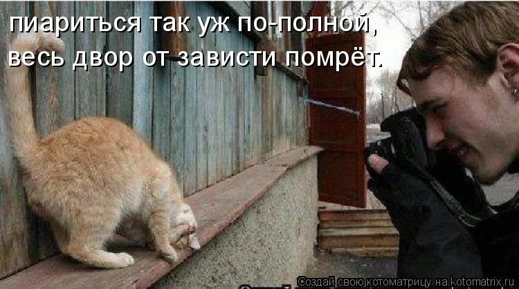 Котоматрица: пиариться так уж по-полной, весь двор от зависти помрёт.